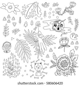 Random vector illustrations set of skull, parrot, flowers, cat and bones for coloring pages