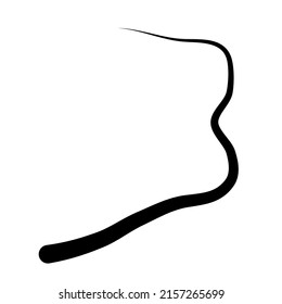 Random winding, tortuous line. Squiggly, waving, wavy curved line element