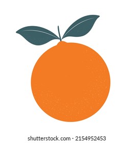range fruit isolated on white background. Vector illustration for design and print