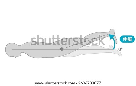 Range of motion of the hip joint [Translate]Extension