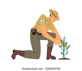 Ranger or forester male cartoon character monitors new plantings in forest or natural park reserve, flat vector illustration isolated on white background.