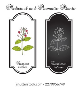 Rangoon creeper (Combretum indicum), medicinal plant. Hand drawn botanical vector illustration