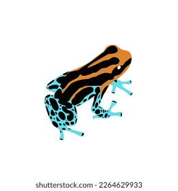 Ranitomeya amazonica, Amazonian Poison Frog vector design, png high quality image with transparent background