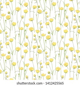 Ranunculus acris.Yellow wildflowers. Small blooming weed. Botanical illustration. Herb plant.