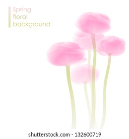 Ranunculus bouquet / spring flower background