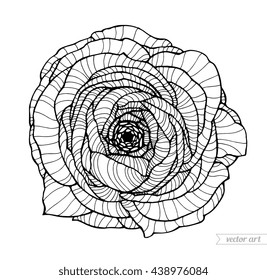 Ranunculus flower, floral bouquet. Vector artwork. Coloring book page for adult. Love bohemia concept for wedding invitation card, ticket, branding. Gift for girl and women. Black and white flower