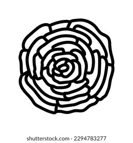 ranunculus flower spring line icon vector. ranunculus flower spring sign. isolated contour symbol black illustration