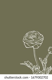 Ranunculus flowers drawing vector illustration and line art. Vector white line art on green background. Floral background wallpaper. Flower ornament good for web, print and stencil.