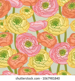 Ranunculus. Flowers. Summer. Seamless background. Vector.