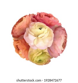 ranunculus realistic 3d circle bouquet big vector illustration set. Floristic element. colourfull ranunculus flowers isolated on white top view. Floral border in pastel color. Wedding mockup