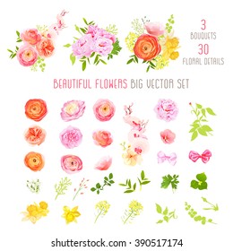 Ranunculus, rose, peony, narcissus, orchid flowers and decorative plants big vector collection. All elements are isolated and editable.