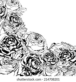 ranunculus vector background card