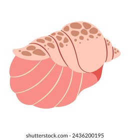 Rapa Snail Seashell. Hand drawn 
 Cartoon style flat illustration seashell isolated on white background. Vector illustration