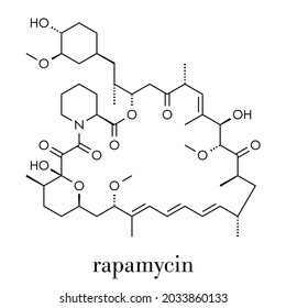 Rapamycin (sirolimus) immunosuppressive drug molecule. Used to prevent transplant rejection and in coronary stent coating. Skeletal formula.