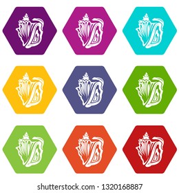Rapan icons 9 set coloful isolated on white for web