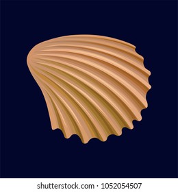 Rapana shell, an empty shell of a sea mollusk vector Illustration on a dark blue background