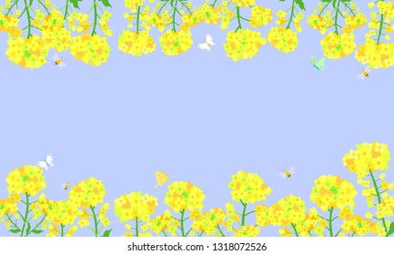 Rape blossom frame