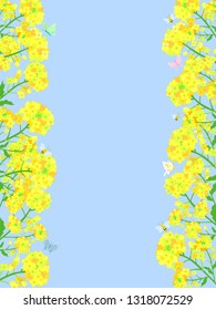 Rape blossom frame