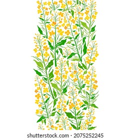 Rapeseed border. Floral seamless pattern. Vector flower strip. Graphic nature illustration. Art green leaves, summer bud, seed, organic oil of canola