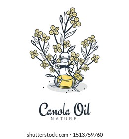 Rapeseed and canola oil banners. Nature Organic product