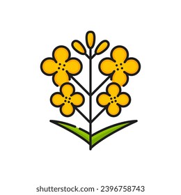 Rapeseed, canola plant icon. Isolated vector linear sign of golden Brassica napus or colza bloom with its distinctive yellow petals, symbolizing its significance in agriculture and oil production