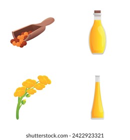 Iconos de violeta configuran el vector de caricatura. Semilla y flor de aceite de canola. Brassica napus, planta