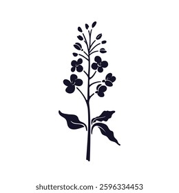 Rapeseed plant icon. Canola or mustard flowers, shape of leaves isolated. Vector botanical illustration, black logo. Blooming rape on transparent background. Field for oil bio production