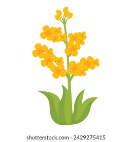 Rapeseed plant icon cartoon vector. Oil organic food. Farm floral extract