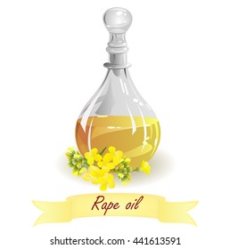 Rapeseed (rape, colza) oil. Hand drawn vector illustration of glass jug with oil and rape flowers on white background.