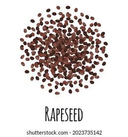 Rapeseed for template farmer market design, label and packing. Natural energy protein organic super food. Vector cartoon isolated illustration.