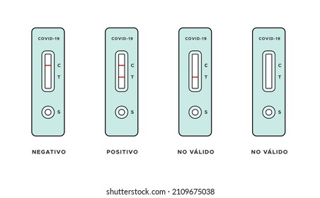 Rapid antigen detection test results in Spanish. Negative, positive, invalid. Covid 19. Vector illustration, flat design