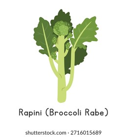 Ilustração plana do vetor do desenho animado Rapini (Broccoli Rabe) isolada no fundo branco