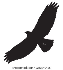 Raptor flying logo silhouette vector illustration. Raptor logo 