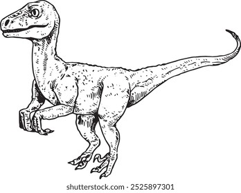 Raptor - ilustração de dinossauro vetor desenhado à mão