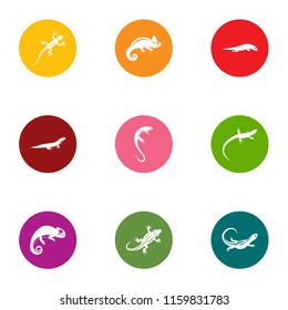 Raptor icons set. Flat set of 9 raptor vector icons for web isolated on white background