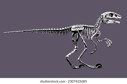Raptor  Velociraptor Skeleton and Skull Bones Black White
