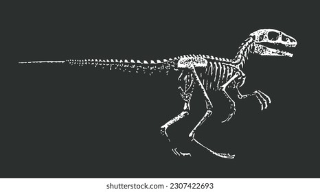 Raptor  Velociraptor Skeleton and Skull Bones Black White