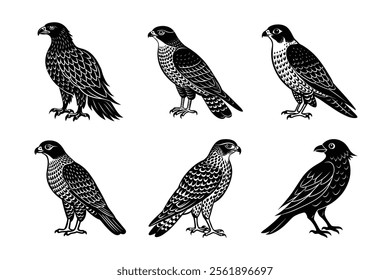 Raptors and Birds of Prey Silhouette Set – Golden Eagle, Peregrine Falcon, Red-shouldered Hawk, Merlin, Cooper's Hawk, Goshawk