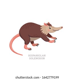 Rare animals collection. Hispaniolan Solenodon, agouta. Hispaniolan or Cuban endemic animal. Flat style vector illustration isolated on white background