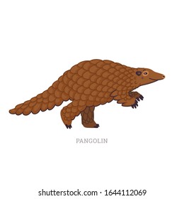 Rare animals collection. Pangolin or scaly anteaters. Unique mammals covered with scales. Flat style vector illustration isolated on white background