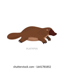 Rare animals collection. Platypus, Ornithorhynchus anatinus. Endemic Australian Duck-billed platypus. Flat style vector illustration isolated on white background