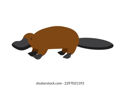 Rare animals collection. Platypus, Ornithorhynchus anatinus. Endemic Australian Duck-billed platypus. Flat style vector illustration isolated on white background EPS