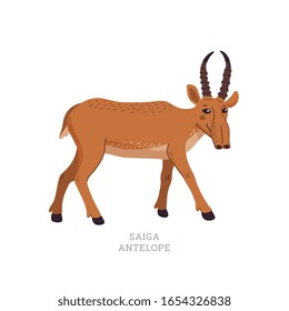 Rare animals collection. Saiga antelope. Saiga tatarica, endangered antelope. Flat style vector illustration isolated on white background