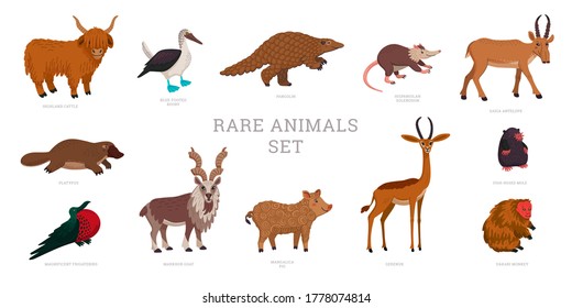 Rare Animals Collection. World Rarest Animals. Flat Style Vector Illustration Isolated On White Background