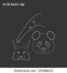 Rare animals icon line element. Vector illustration of rare animals icon line isolated on clean background for your web mobile app logo design.