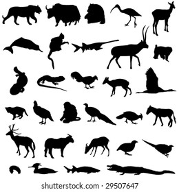 Rare animals unique to China