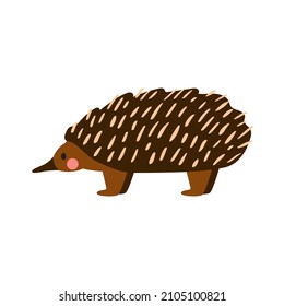 Rare Australian animal echidna drawn in cartoon style. Cute vector illustration