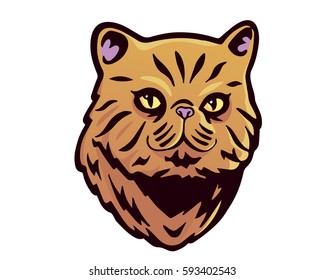 Rare Cat Breed Illustration - American Short Hair Flat Nose