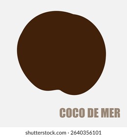 Rare Coco de Mer nut, lodoicea icon, sea coconut, coco de mer or double coconut. Lodoicea fruit from Seychelles, unique tropical palm seed