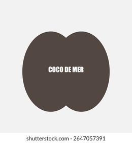 Rara noz de Coco de Mer, ícone lodoicea, coco-do-mar, coco de mer ou coco duplo. Lodoicea fruto de Seicheles, semente de palma tropical única